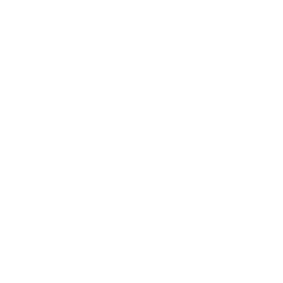 ce logo St Petersburg
