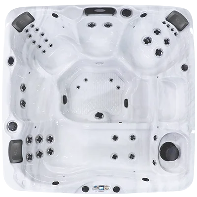 Avalon EC-840L hot tubs for sale in St Petersburg