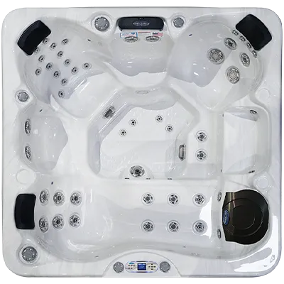 Avalon EC-849L hot tubs for sale in St Petersburg