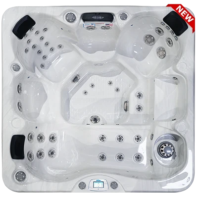 Avalon-X EC-849LX hot tubs for sale in St Petersburg