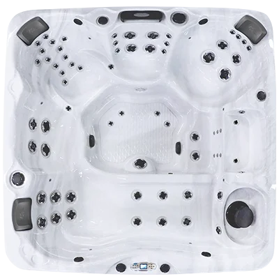 Avalon EC-867L hot tubs for sale in St Petersburg