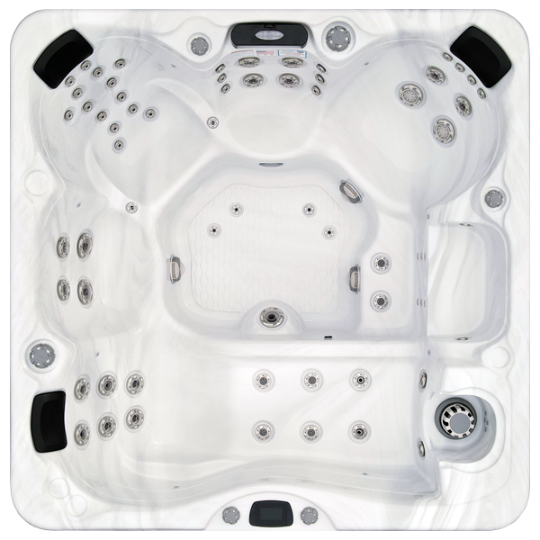 Avalon-X EC-867LX hot tubs for sale in St Petersburg